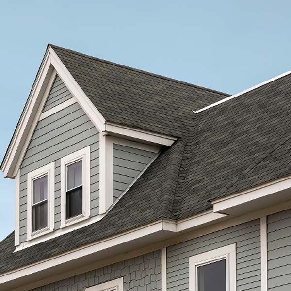 Financing & Insurance